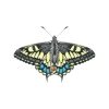 WYS - Signature 4ply - Butterflies