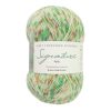 WYS - Signature 4ply - Butterflies