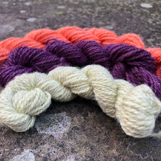 Charlie Buttons Yarn - Natural Dyed Minis Trio - 4Ply