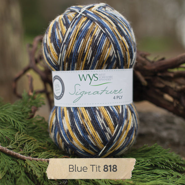 WYS - Signature 4ply - Country Birds