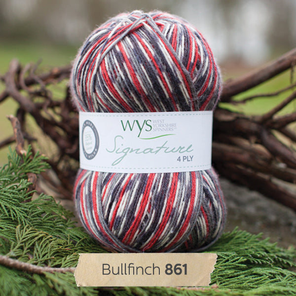 WYS - Signature 4ply - Country Birds