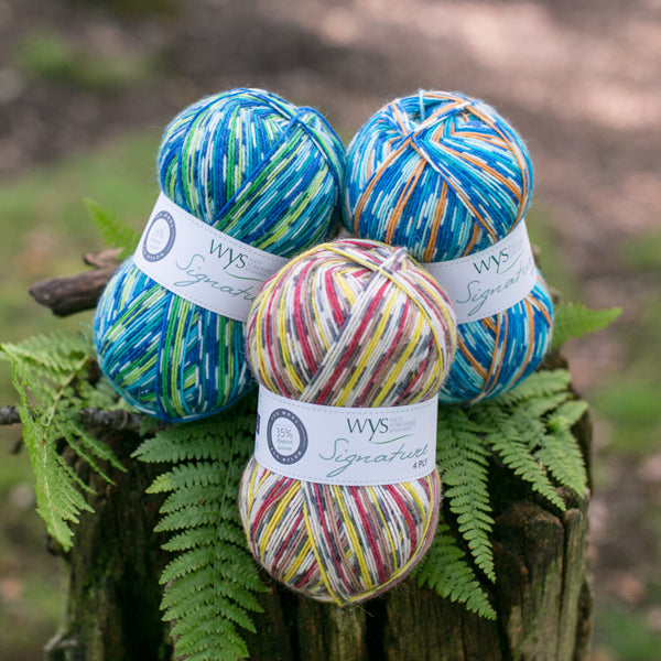 WYS - Signature 4ply - Country Birds