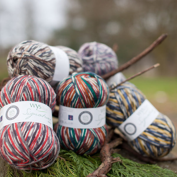 WYS - Signature 4ply - Country Birds
