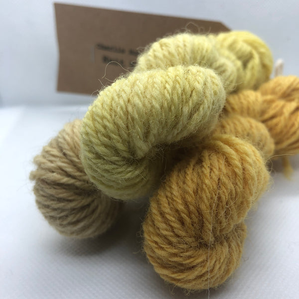 Charlie Buttons Yarns - Natural Dyed Minis Trio - DK