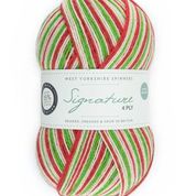 WYS - Signature 4ply - Christmas
