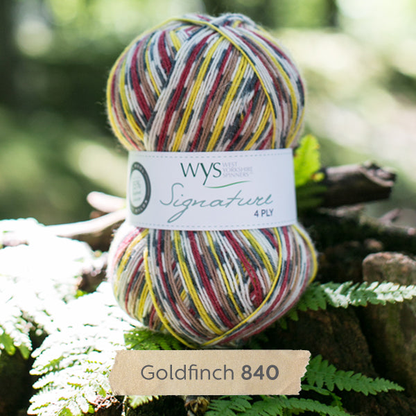 WYS - Signature 4ply - Country Birds