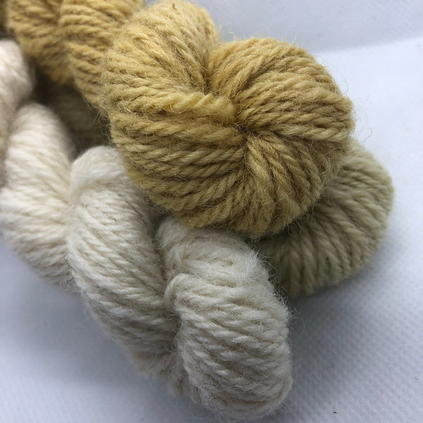 Charlie Buttons Yarns - Natural Dyed Minis Trio - DK