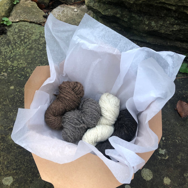 Charlie Button Yarns - British Breeds Box - DK & 4Ply