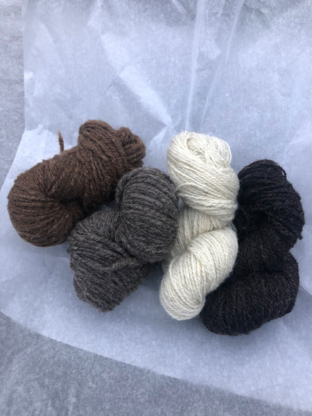 Charlie Button Yarns - British Breeds Box - DK & 4Ply