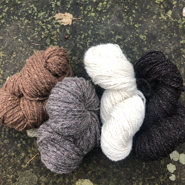 Charlie Button Yarns - British Breeds Box - DK & 4Ply