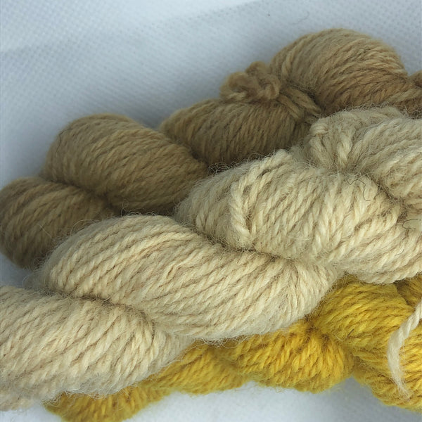 Charlie Buttons Yarns - Natural Dyed Minis Trio - DK