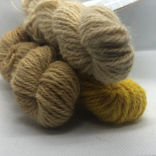 Charlie Buttons Yarns - Natural Dyed Minis Trio - DK
