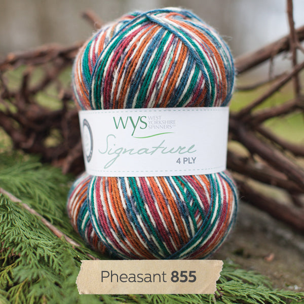 WYS - Signature 4ply - Country Birds