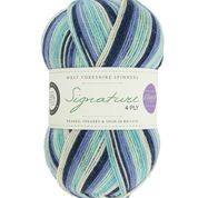 WYS - Signature 4ply - Seasons by Winwick Mum