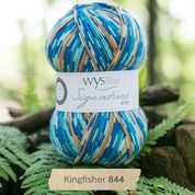 WYS - Signature 4ply - Country Birds