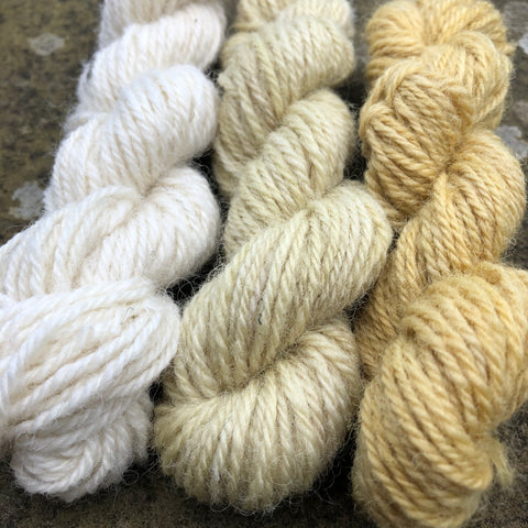 Charlie Buttons Yarns - Natural Dyed Minis Trio - DK