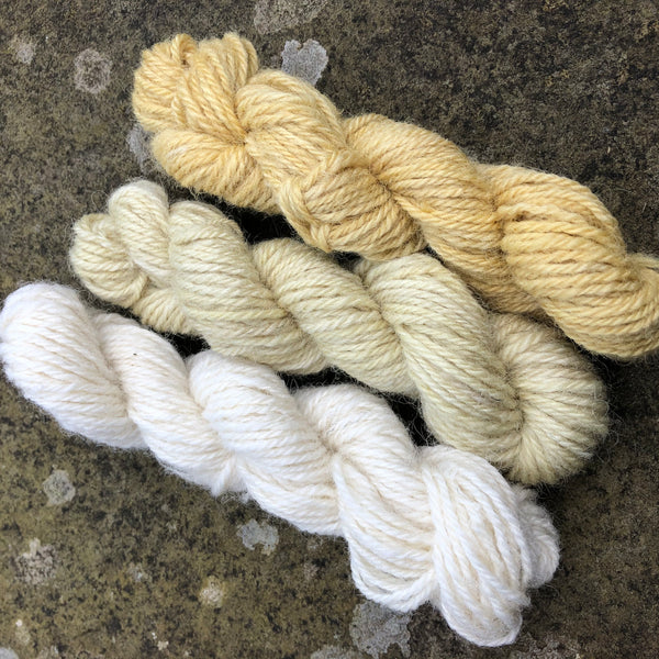 Charlie Buttons Yarns - Natural Dyed Minis Trio - DK