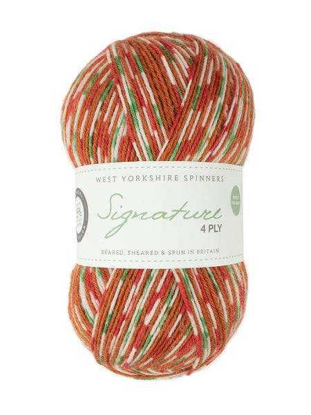 WYS - Signature 4ply - Christmas