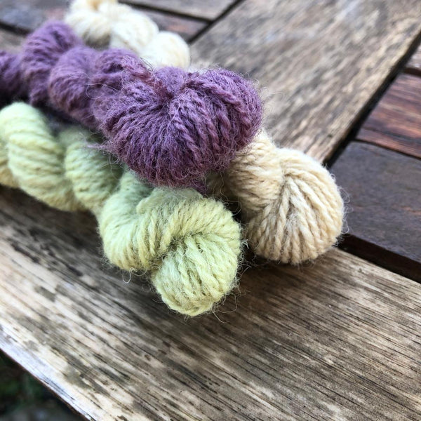 Charlie Buttons Yarn - Natural Dyed Minis Trio - 4Ply