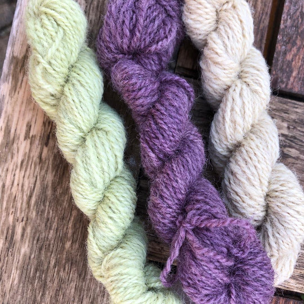 Charlie Buttons Yarn - Natural Dyed Minis Trio - 4Ply
