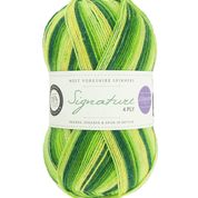 WYS - Signature 4ply - Seasons by Winwick Mum