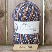 WYS - Signature 4ply - Country Birds