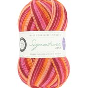 WYS - Signature 4ply - Seasons by Winwick Mum