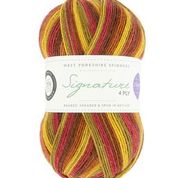 WYS - Signature 4ply - Seasons by Winwick Mum