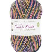 WYS - Signature 4ply - Zandra Rhodes Collection