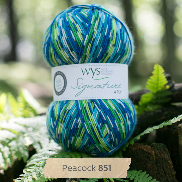 WYS - Signature 4ply - Country Birds